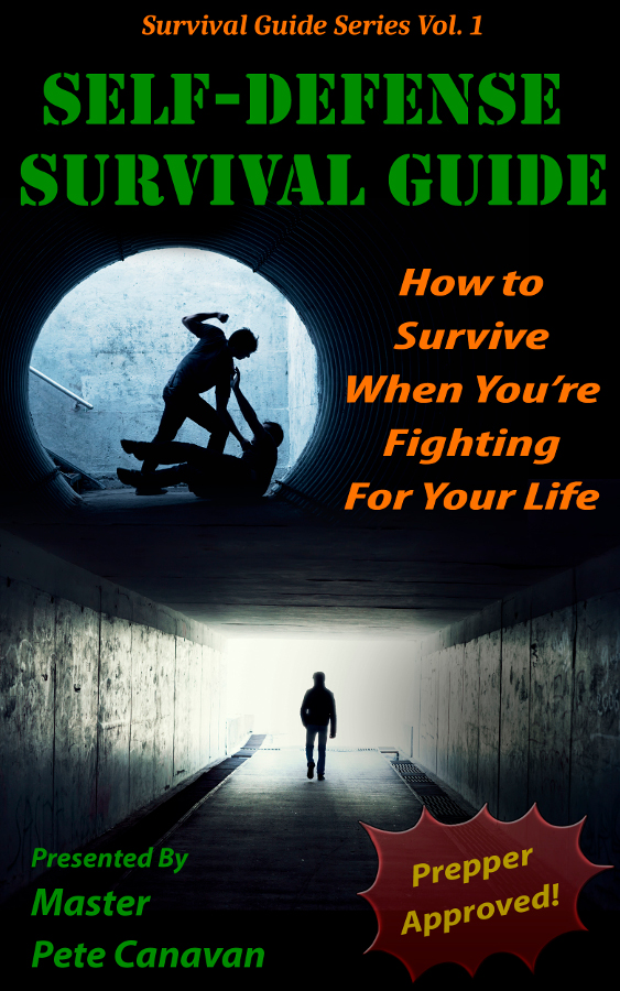 Self Defense Survival Guide - 